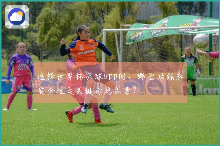 选择世界杯买球app时，哪些功能和安全性是关键考虑因素？