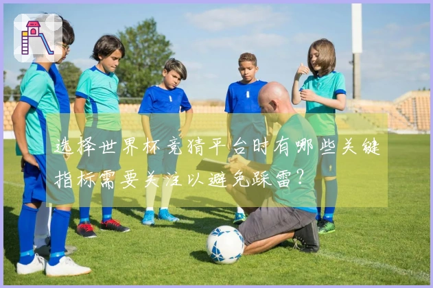 选择世界杯竞猜平台时有哪些关键指标需要关注以避免踩雷？