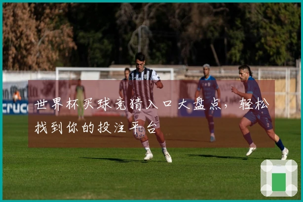 世界杯买球竞猜入口大盘点,轻松找到你的投注平台