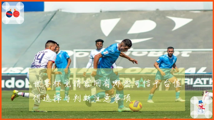 世界杯竞猜官网有哪些可信平台值得选择与判断注意事项