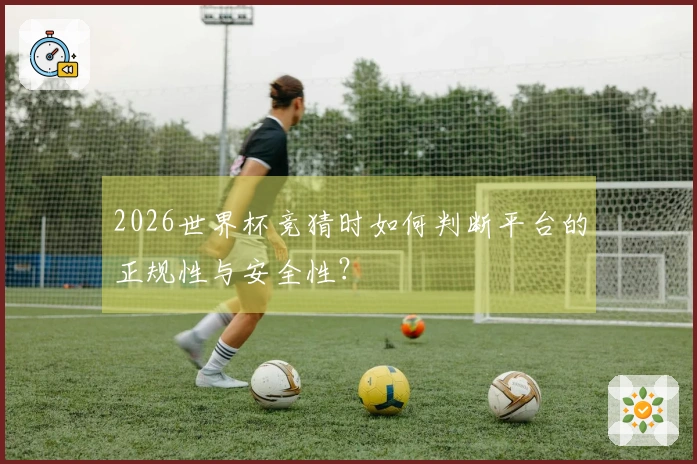 2026世界杯竞猜时如何判断平台的正规性与安全性？