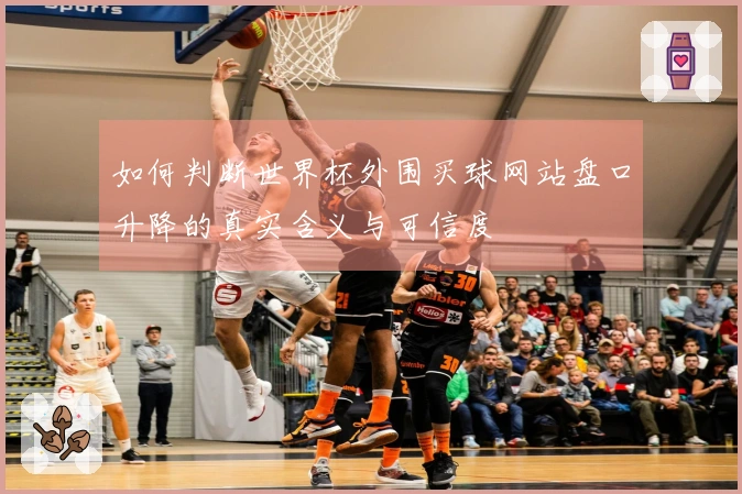 如何判断世界杯外围买球网站盘口升降的真实含义与可信度