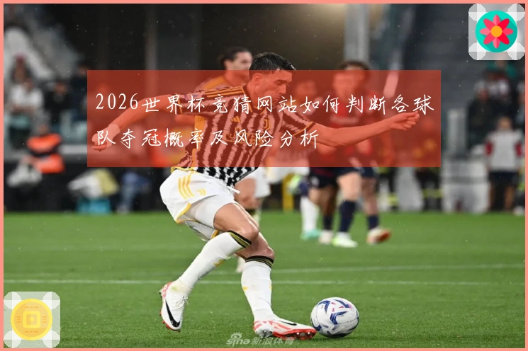 2026世界杯竞猜网站如何判断各球队夺冠概率及风险分析