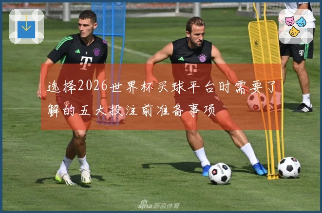 选择2026世界杯买球平台时需要了解的五大投注前准备事项