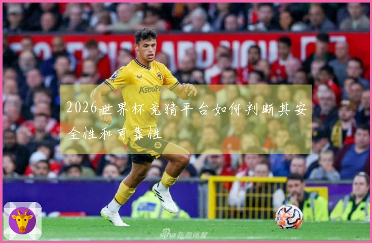 2026世界杯竞猜平台如何判断其安全性和可靠性