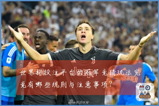 世界杯投注平台的冠军竞猜玩法究竟有哪些规则与注意事项？