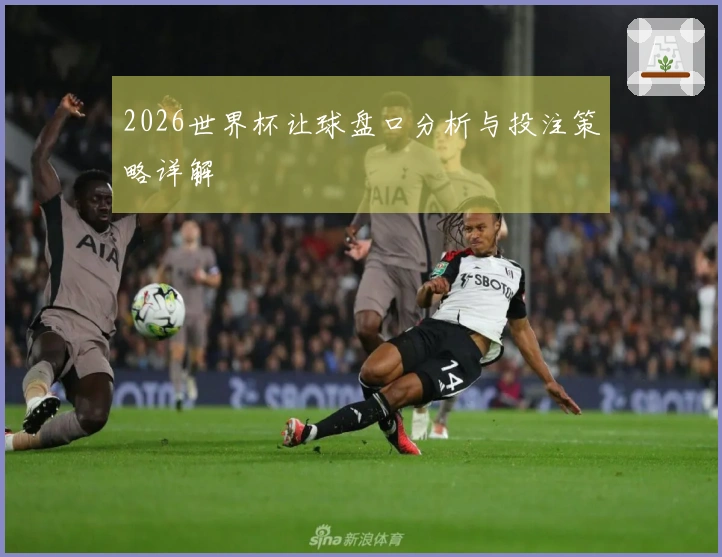 2026世界杯让球盘口分析与投注策略详解