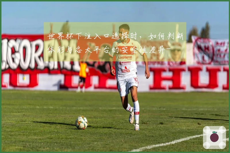 世界杯下注入口选择时，如何判断体彩与各大平台的安全性差异-