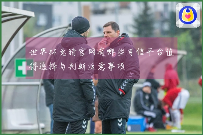 世界杯竞猜官网有哪些可信平台值得选择与判断注意事项
