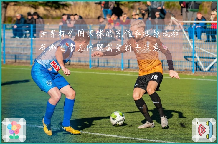 世界杯外围买球的充值和提款流程有哪些常见问题需要新手注意