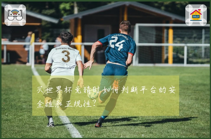 买世界杯竞猜时如何判断平台的安全性和正规性？