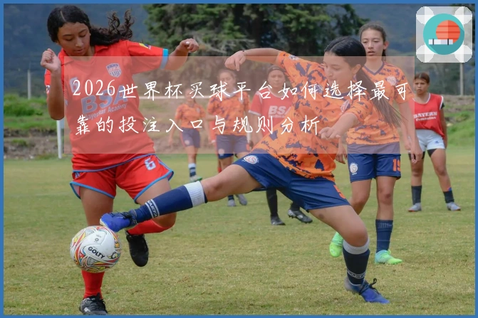 2026世界杯买球平台如何选择最可靠的投注入口与规则分析