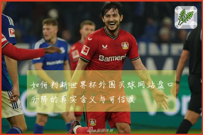如何判断世界杯外围买球网站盘口升降的真实含义与可信度
